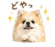 845040326