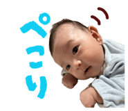 845040394