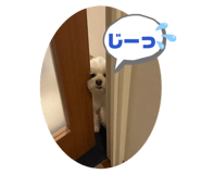 845040449