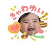 845040667