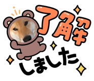 845040704