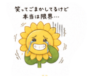 845040721