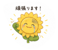 845040726