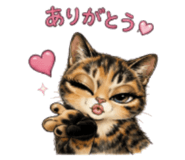845041517