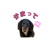 845042777