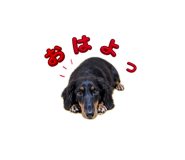 845042778