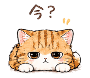 845043572
