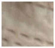 845043931