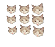 845043997