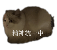 845043999