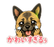 845044143