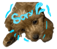 845044406