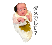 845044458