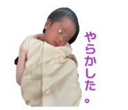845044464