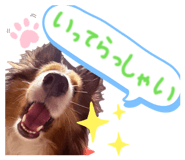 845044479
