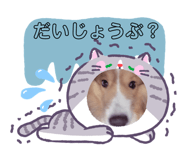 845044483