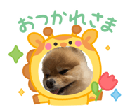 845044507