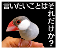 845044689