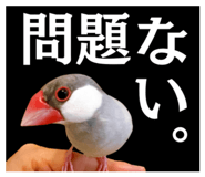 845044690