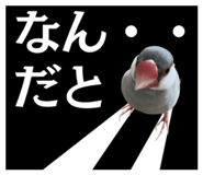 845044691