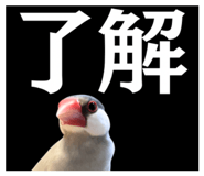 845044694