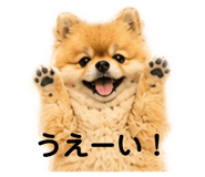 845045380