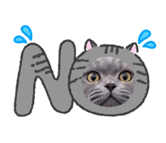 845045810