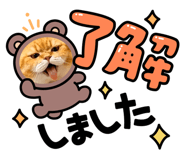 845045816