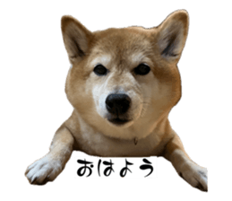845046265