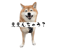 845046267