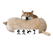 845046268