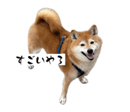845046269