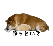 845046270
