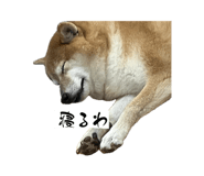 845046271