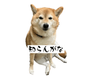 845046272