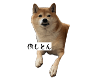 845046275