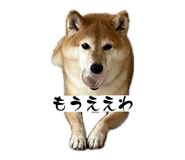845046276