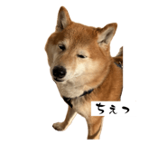 845046278