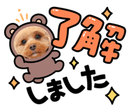 845046536