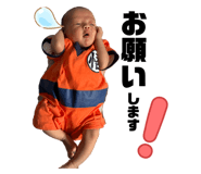 845046590