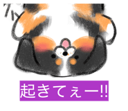 845046638