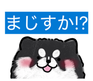 845046642