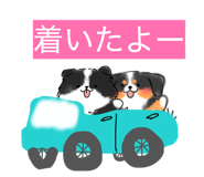 845046647