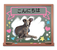 845046854