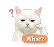 845049077