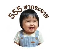 845049397