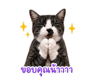 845049943