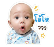 845050016