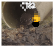 845050245