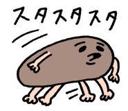 845050579